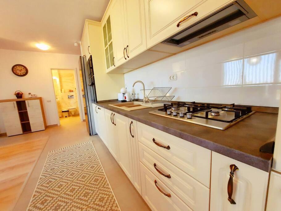 Beautiful Panoramic Central Apartment - City Of Mara Timişoara Exterior foto
