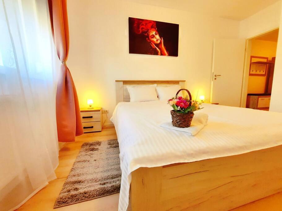 Beautiful Panoramic Central Apartment - City Of Mara Timişoara Exterior foto