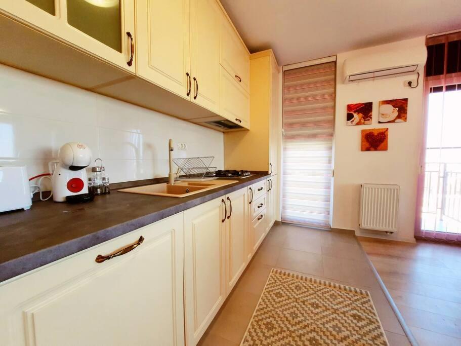 Beautiful Panoramic Central Apartment - City Of Mara Timişoara Exterior foto